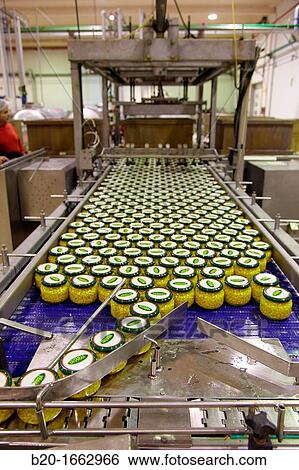 Stock Photograph - Production line of canned vegetables and beans in glass bottle, Corn, Maize, Canning Industry, Agri-food, Logistics Center, Gutarra, Grupo Riberebro, Villafranca, Navarra, Spain. Fotosearch
