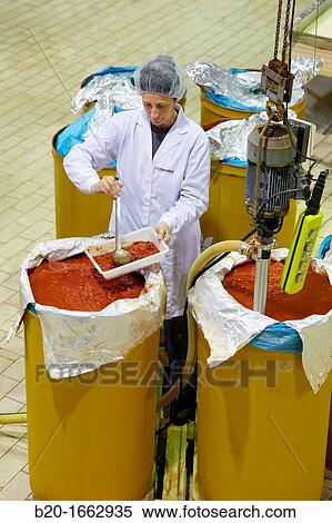 Production line of canned vegetables and beans in glass bottle, Cooked Tomato, Canning Industry, Agri-food, Gutarra, Grupo Riberebro, Villafranca, Navarra, Spain View Large Photo Image Stock Photography - Production line of canned vegetables and beans in glass bottle, Cooked Tomato, Canning Industry, Agri-food, Gutarra, Grupo Riberebro, Villafranca, Navarra, Spain. Fotosearch