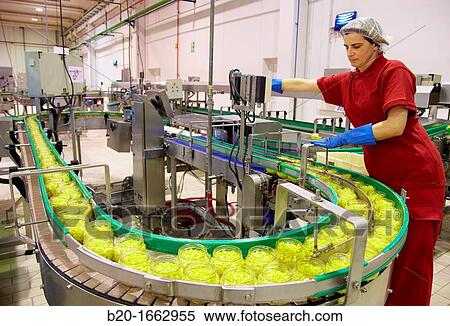 Stock Photography - Production line of canned vegetables and beans in glass bottle, Corn, Maize, Canning Industry, Agri-food, Logistics Center, Navarra, Spain. Fotosearch