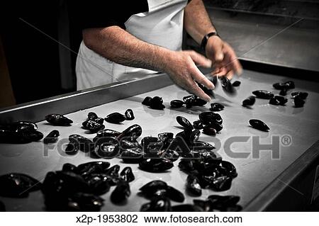 Production of oysters in Etang de Diane, the east coast of Corsica, France, Europe. View Large Photo Image Stock Image - Production of oysters in Etang de Diane, the east coast of Corsica, France, Europe.. Fotosearch