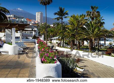 Promenade and Teide volcano from Puerto de la Cruz city. Tenerife, Canary Islands, Atlantic Ocean, Spain. View Large Photo Image Stock Photo - Promenade and Teide volcano from Puerto de la Cruz city. Tenerife, Canary Islands, Atlantic Ocean, Spain.. Fotosearch