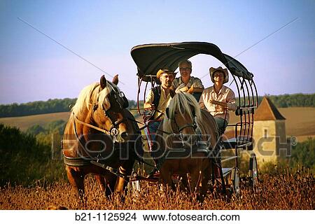 Promenade, horse-drawn carriage, Bazian, Gers, Midi-Pyrenees, France View Large Photo Image Picture - Promenade, horse-drawn carriage, Bazian, Gers, Midi-Pyrenees, France. Fotosearch