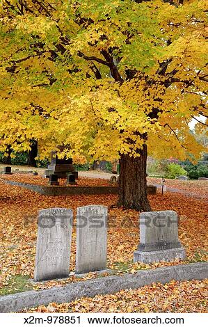 Prospect Cemetery during the autumn months Located in Epping, New Hampshire USA which is part of scenic New England View Large Photo Image Stock Image - Prospect Cemetery during the autumn months Located in Epping, New Hampshire USA which is part of scenic New England. Fotosearch