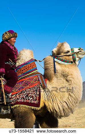 Proud on his beautiful camel. View Large Photo Image Stock Image - Proud on his beautiful camel.. Fotosearch