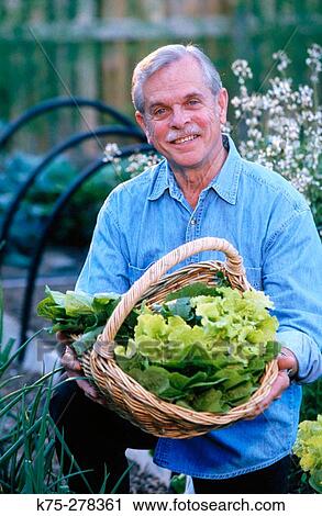 Proud senior gardener View Large Photo Image Stock Image - Proud senior gardener. Fotosearch