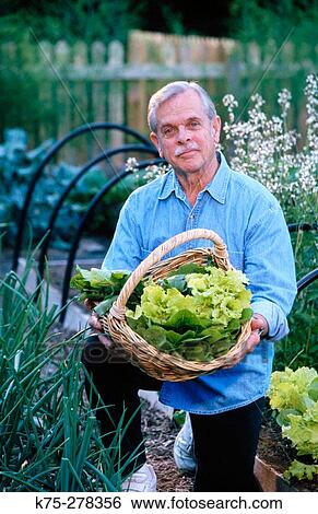 Proud senior with his produce in garden View Large Photo Image Stock Photograph - Proud senior with his produce in garden. Fotosearch