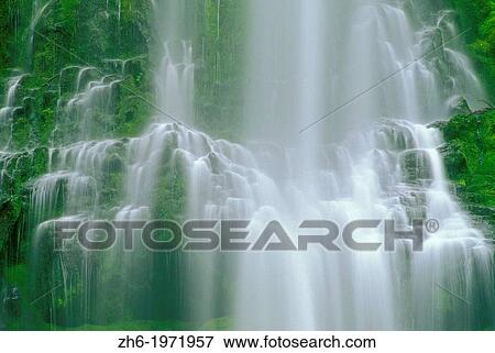 Stock Photo - Proxy Falls, Willamette National Forest, Oregon USA.. Fotosearch