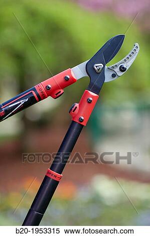 Stock Photography - Pruning secateurs, Hand tool, Garden.. Fotosearch