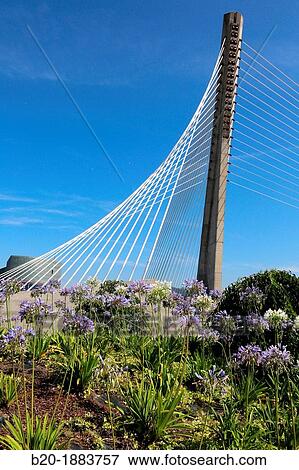Stock Photo - Puente de Os Tirantes Bridge and Pazo da Cultura, L? rez River, Pontevedra, Galicia, Spain.. Fotosearch