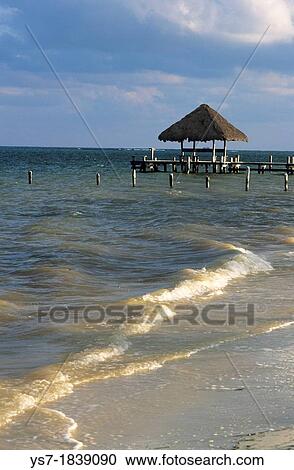 Puerto Morelos beach, Caribbean sea, Quintana Roo, Yucatan peninsula, Mexico, Central America View Large Photo Image Stock Image - Puerto Morelos beach, Caribbean sea, Quintana Roo, Yucatan peninsula, Mexico, Central America. Fotosearch