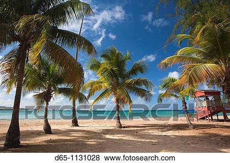 Stock Photo - Puerto Rico, East Coast, Luquillo, Playa Luquillo Beach.. Fotosearch