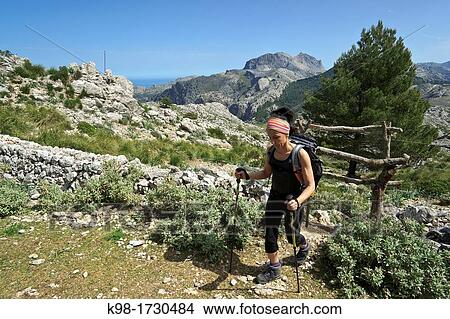 Puig Des Jou, 1052 mts Bunyola Balearic Islands Mallorca Spain View Large Photo Image Picture - Puig Des Jou, 1052 mts Bunyola Balearic Islands Mallorca Spain. Fotosearch