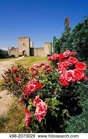 Stock Photo - Puivert Castle, 13th Century, Cathar Castle, Puivert, Aude Department, Languedoc-Roussillon, France. Fotosearch