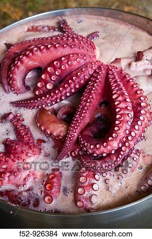 Pulpo a feira (typical Galician octopus dish), Spain View Large Photo Image Picture - Pulpo a feira (typical Galician octopus dish), Spain. Fotosearch