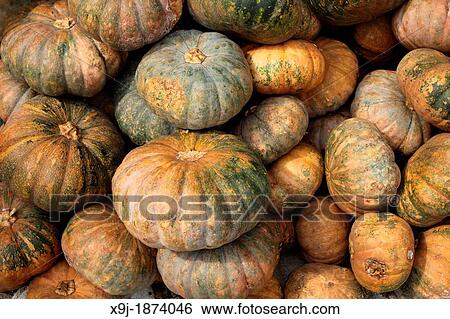 Stock Photograph - Pumkins at local market, asia. Fotosearch
