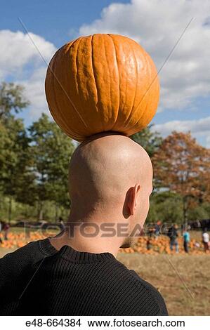 Picture - Pumpkin balanced on bald man's head. Fotosearch