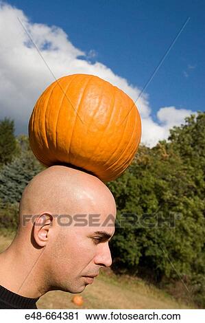 Pumpkin balanced on bald man's head View Large Photo Image Stock Image - Pumpkin balanced on bald man's head. Fotosearch