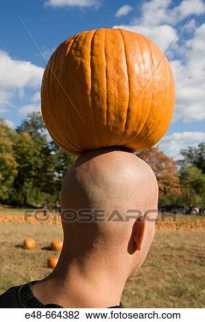 Stock Image - Pumpkin balanced on bald man's head. Fotosearch