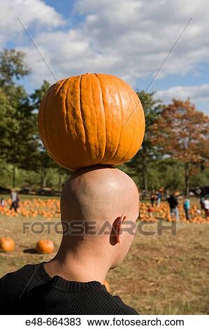 Pumpkin balanced on bald man's head View Large Photo Image Stock Image - Pumpkin balanced on bald man's head. Fotosearch