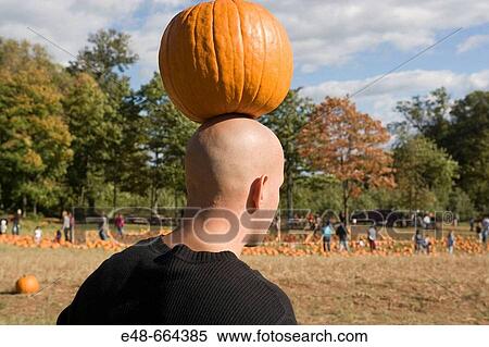 Pumpkin balanced on bald man's head View Large Photo Image Stock Photography - Pumpkin balanced on bald man's head. Fotosearch