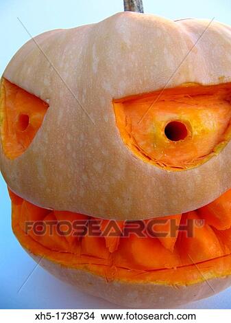 Picture - Pumpkin, Halloween.. Fotosearch