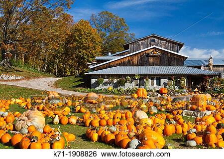 Pumpkins and squash for sale at the Pond Hill Farms along Highway 119 near Harbor Springs, Michigan, USA View Large Photo Image Stock Photograph - Pumpkins and squash for sale at the Pond Hill Farms along Highway 119 near Harbor Springs, Michigan, USA. Fotosearch