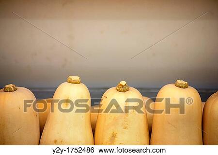 Pumpkins View Large Photo Image Stock Photograph - Pumpkins. Fotosearch