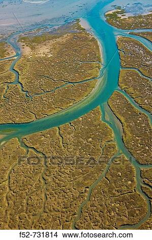 Punta Umbria marshes. Huelva province, Andalucia, Spain View Large Photo Image Picture - Punta Umbria marshes. Huelva province, Andalucia, Spain. Fotosearch