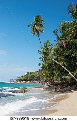 Stock Photo - Punta Uva, Costa Rica. Fotosearch