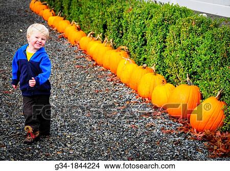 Pure Pumpkin Joy View Large Photo Image Picture - Pure Pumpkin Joy. Fotosearch