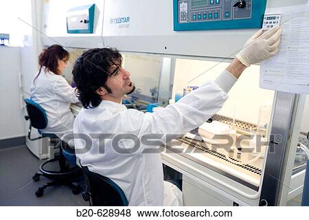Purification of Leukocytes in laminar flow cabinet. Biopharmaceutical lab, development of new therapeutic molecules based on human antibodies for the treatment of infectious and inflammatory diseases, Biotherapix, Grupo Genetrix, Madrid View Large Photo Image Stock Photo - Purification of Leukocytes in laminar flow cabinet. Biopharmaceutical lab, development of new therapeutic molecules based on human antibodies for the treatment of infectious and inflammatory diseases, Biotherapix, Grupo Genetrix, Madrid. Fotosearch