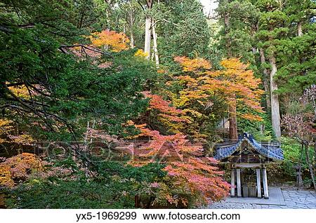 Purification pavilion in Futarasan Srine in Nikko, Japan. View Large Photo Image Stock Photo - Purification pavilion in Futarasan Srine in Nikko, Japan.. Fotosearch