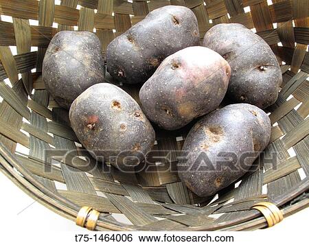purple potatoes View Large Photo Image Stock Photograph - purple potatoes. Fotosearch