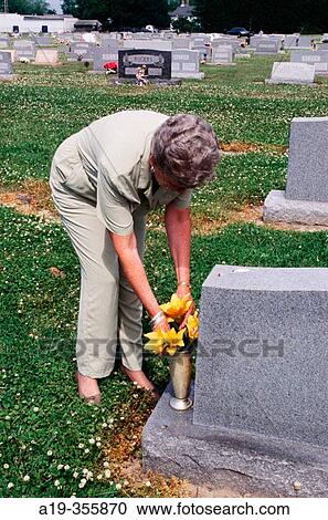 Putting flowers on a grave for a special occasion. View Large Photo Image Stock Image - Putting flowers on a grave for a special occasion.. Fotosearch