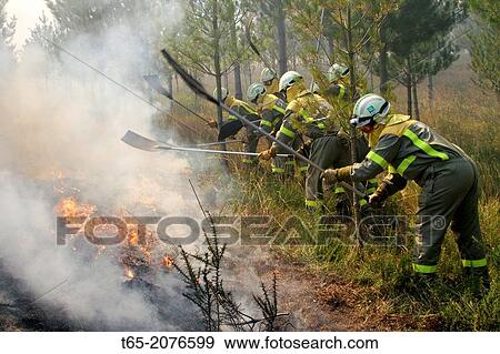Putting out a forest fire brigades in Palas de Rey Galicia View Large Photo Image Stock Photo - Putting out a forest fire brigades in Palas de Rey Galicia. Fotosearch
