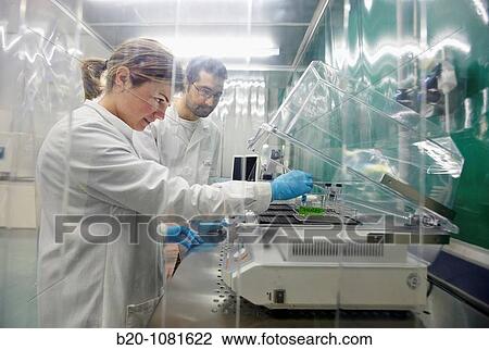 Putting sample in stirrer, laminar flow cabinet, Synthesis Laboratory, CIC nanoGUNE Nanoscience Cooperative Research Center, Donostia, Gipuzkoa, Euskadi, Spain View Large Photo Image Stock Image - Putting sample in stirrer, laminar flow cabinet, Synthesis Laboratory, CIC nanoGUNE Nanoscience Cooperative Research Center, Donostia, Gipuzkoa, Euskadi, Spain. Fotosearch