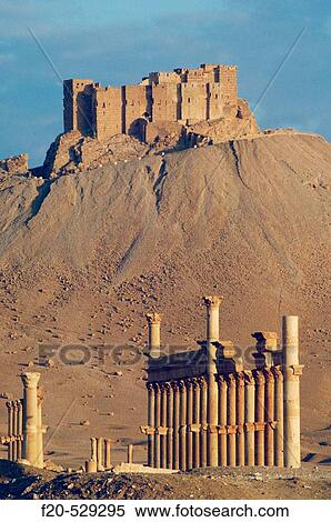 Qalaat ibn Maan castle (17th Century) above ruins of Palmyra. Syria View Large Photo Image Stock Photography - Qalaat ibn Maan castle (17th Century) above ruins of Palmyra. Syria. Fotosearch