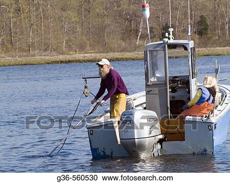 Quahoggers at work in Wickford, Rhode Island, USA View Large Photo Image Stock Image - Quahoggers at work in Wickford, Rhode Island, USA. Fotosearch