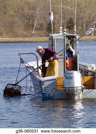 Quahoggers at work in Wickford, Rhode Island, USA View Large Photo Image Stock Image - Quahoggers at work in Wickford, Rhode Island, USA. Fotosearch