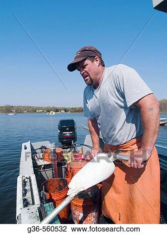 Quahoggers at work in Wickford, Rhode Island, USA View Large Photo Image Stock Image - Quahoggers at work in Wickford, Rhode Island, USA. Fotosearch