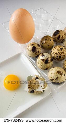 Quail and hen eggs View Large Photo Image Stock Image - Quail and hen eggs. Fotosearch