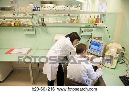 Stock Photograph - Quantification of Genetically Modified Organisms (GMOs). PCR-RT, DNA analysis, Neiker Tecnalia, Instituto de Investigaci? n y Desarrollo Agrario, Ganadero, Forestal y del Medio Natural, Arkaute, Alava, Euskadi, Spain.. Fotosearch