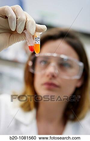 Stock Image - Quantum dots, eye inspection, samples, Laboratory of Nanobiotechnology, CIC nanoGUNE, Nanoscience Cooperative Research Center, San Sebastian, Gipuzkoa, Euskadi, Spain. Fotosearch
