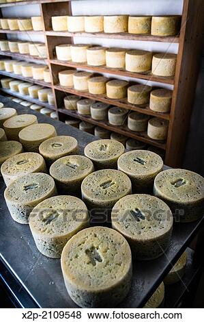 Queser? a? Rogelio Lopez Campo?, Cabrales cheese maker, at Sotres, Asturias, Spain. View Large Photo Image Stock Photo - Queser? a? Rogelio Lopez Campo?, Cabrales cheese maker, at Sotres, Asturias, Spain.. Fotosearch