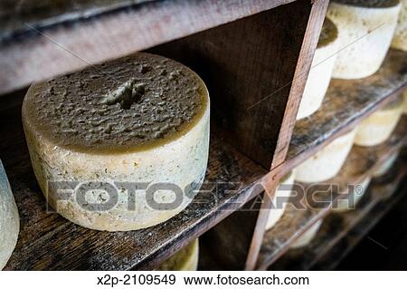 Queser? a? Rogelio Lopez Campo?, Cabrales cheese maker, at Sotres, Asturias, Spain. View Large Photo Image Stock Photo - Queser? a? Rogelio Lopez Campo?, Cabrales cheese maker, at Sotres, Asturias, Spain.. Fotosearch
