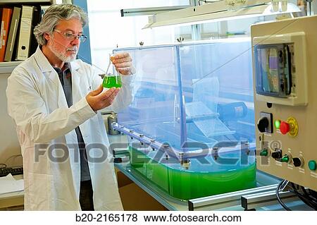 Raceway. Reactor for microalgae cultivation. Algae biofuel research. Organic Laboratory. Energy and Environment Division. Tecnalia Research and Innovation. Donostia. San Sebastian. Gipuzkoa. Basque Country. Spain. View Large Photo Image Stock Photo - Raceway. Reactor for microalgae cultivation. Algae biofuel research. Organic Laboratory. Energy and Environment Division. Tecnalia Research and Innovation. Donostia. San Sebastian. Gipuzkoa. Basque Country. Spain.. Fotosearch
