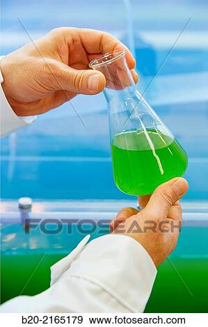 Raceway. Reactor for microalgae cultivation. Algae biofuel research. Organic Laboratory. Energy and Environment Division. Tecnalia Research and Innovation. Donostia. San Sebastian. Gipuzkoa. Basque Country. Spain. View Large Photo Image Stock Photo - Raceway. Reactor for microalgae cultivation. Algae biofuel research. Organic Laboratory. Energy and Environment Division. Tecnalia Research and Innovation. Donostia. San Sebastian. Gipuzkoa. Basque Country. Spain.. Fotosearch
