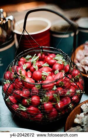 Stock Image - Radishes. La Tupina. The greedy street. Bordeaux. Gironde. Aquitaine. France. Europe.. Fotosearch