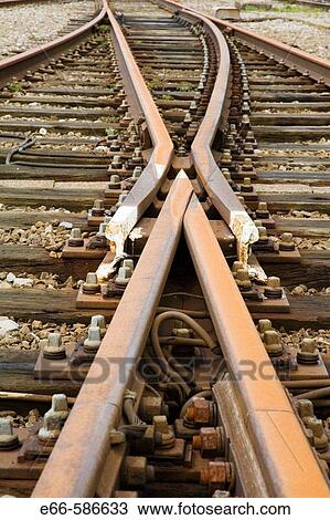 railroad tracks splitting View Large Photo Image Stock Image - railroad tracks splitting. Fotosearch