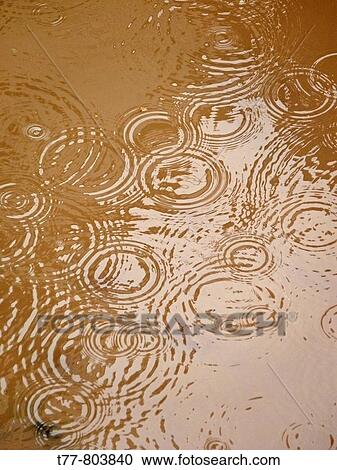 Stock Image - Rain drops falling in rain water Pune, Maharashytra, India. Fotosearch